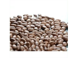 Feijo Carioquinha AGROECOLGICO (Dom Divino)1kg