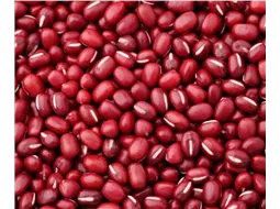 Feijo Vermelho AGROECOLGICO 1kg - Dom Divino