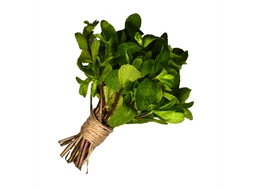 Hortel orgnica