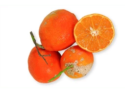 Limo Caipira Orgnico 500 g