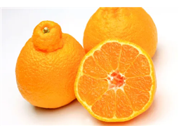 Mexerica Dekopom Orgnica 800 g a 1 kg